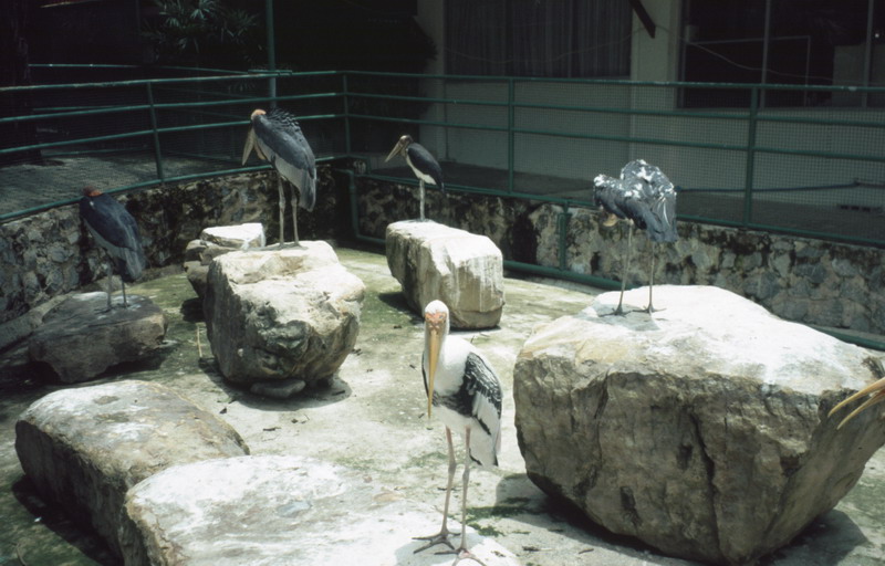 Image0009_resize Image0009_resize