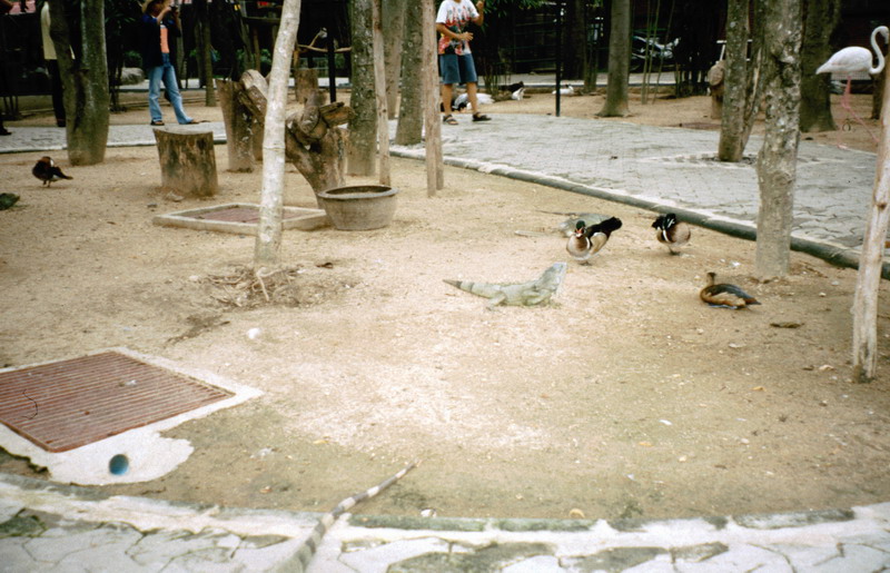 Image0027_resize Image0027_resize