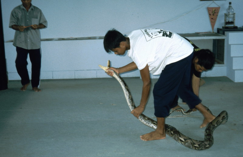 Image0151_resize