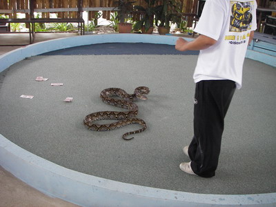 Thailand2007-0213