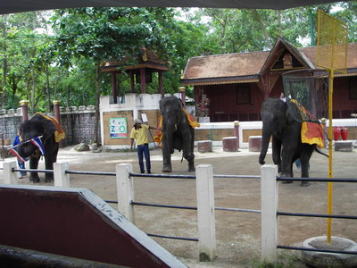 Thailand2007-0231
