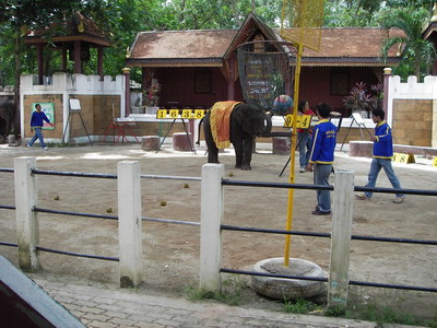 Thailand2007-0241