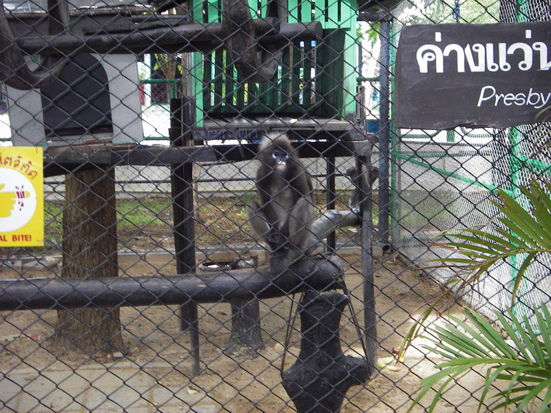 Thailand2007-0556