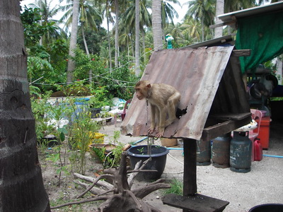 Thailand2009-0329