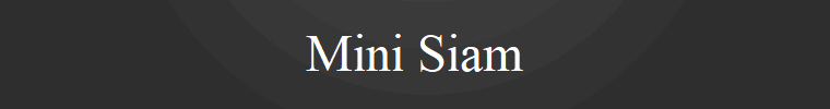 Mini Siam